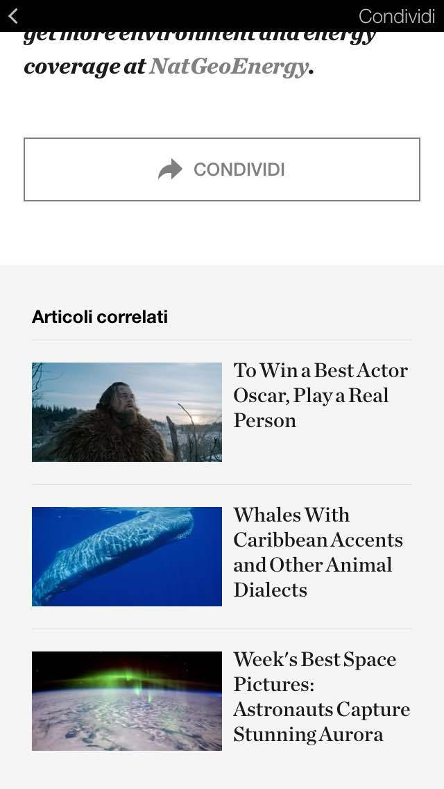 istant articles correlati
